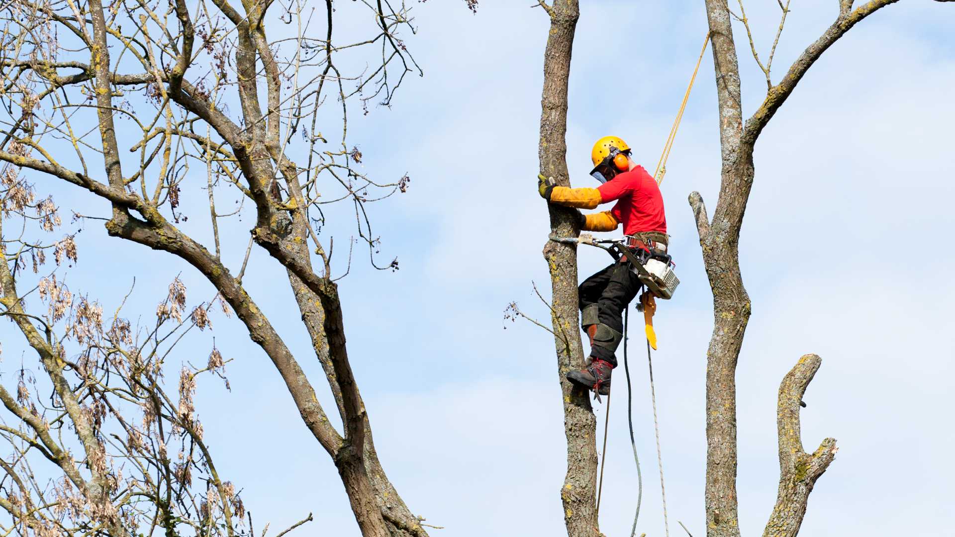 Professionalità e qualità